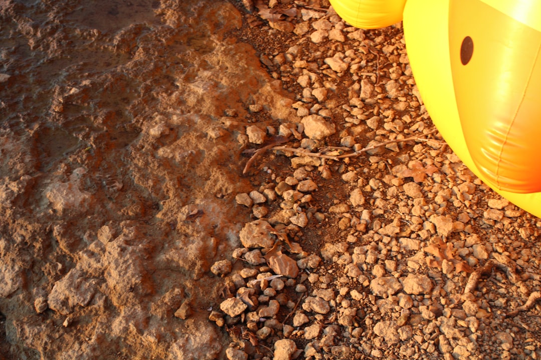 The AI Gold Rush Is Here, and This One Stock Has a Shovel No One Else Can Copy