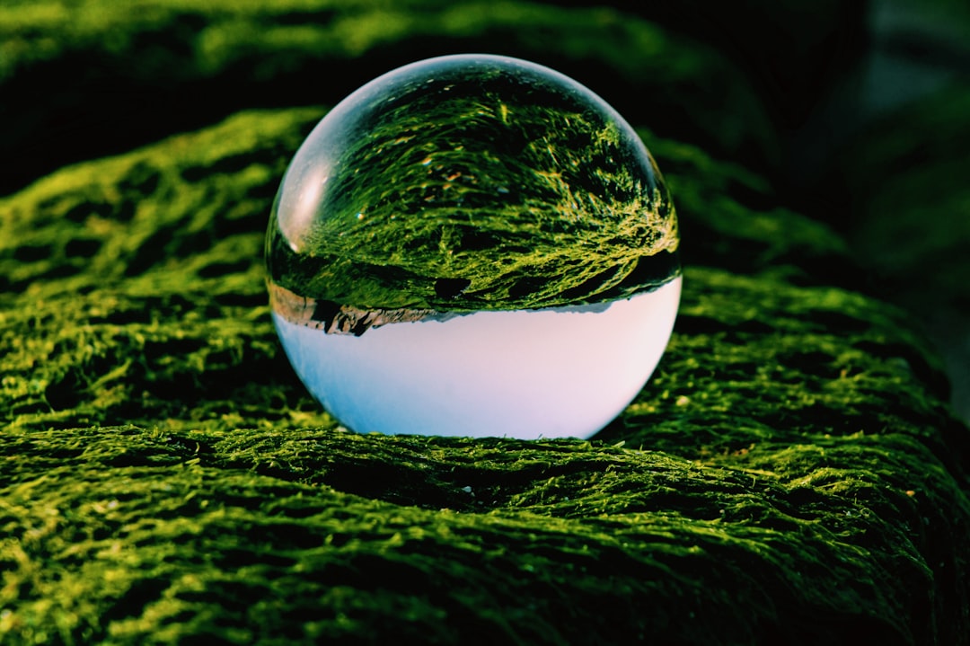 Is the ESG Bubble Bursting? Citi Slashes London Sustainability Team in Shock Move