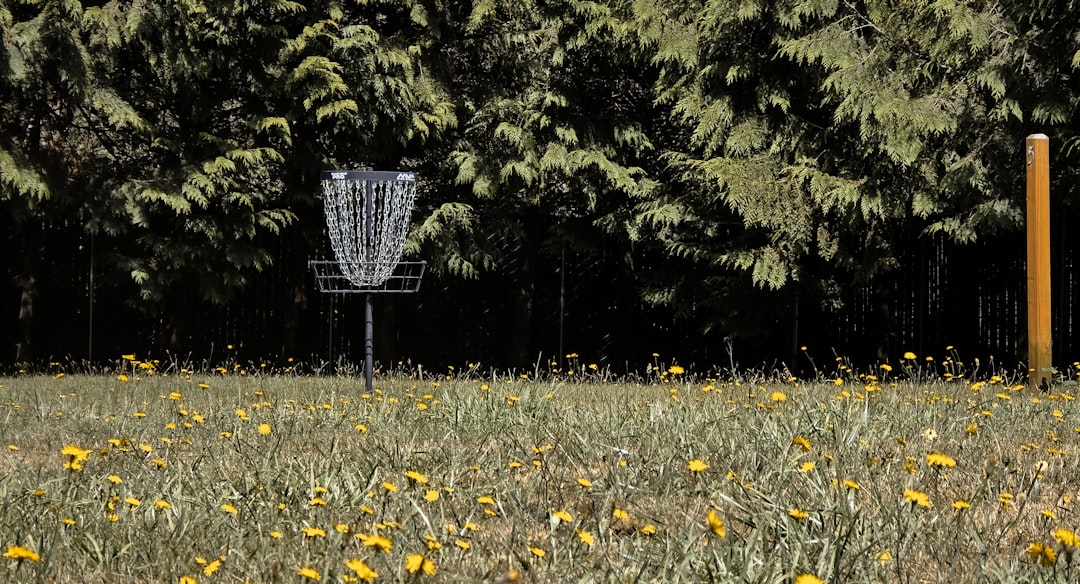 Forget the Driving Range: Boston Golfers Have a New Secret Weapon and It's Hiding in Plain Sight