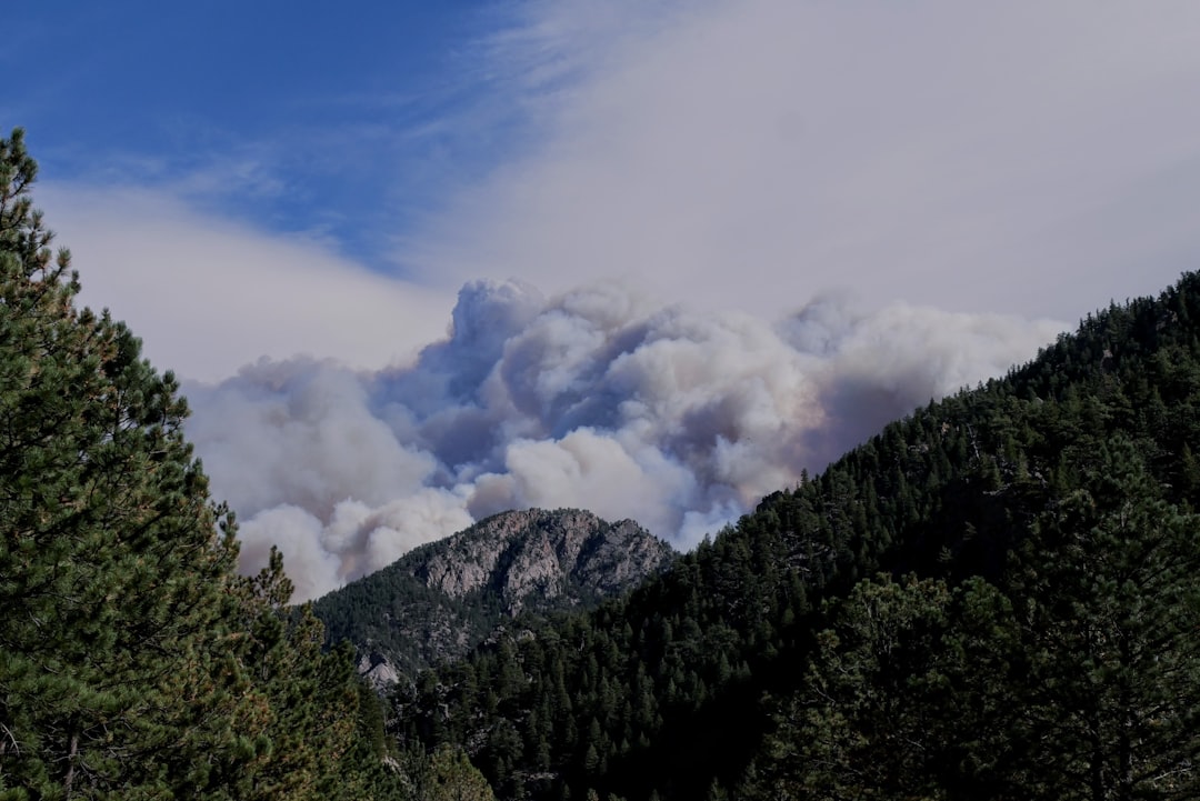 Spain is Burning: PM's Shocking Declaration on the Wildfire 'War' Gripping the Nation