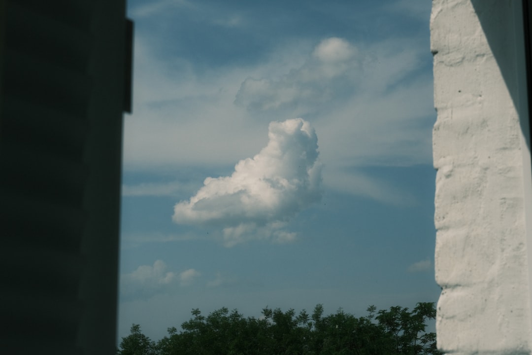 Oracle's Insane 1,529% Cloud Surge Sends Stock Into Orbit, While Chewy Gets Sent to the Doghouse