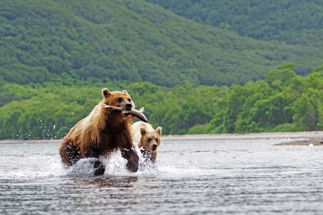 Wall Street Screams 'BUY' on Credo, But a Wave of Bearish Bets Suggests a Storm is Brewing