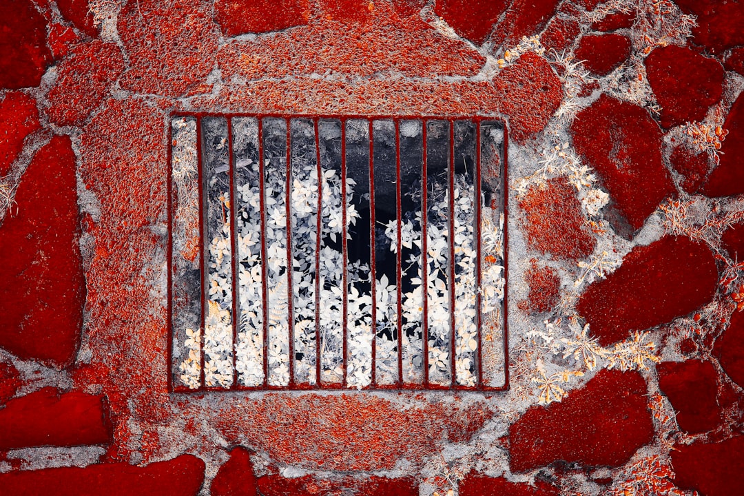 `Guilty as Hell!`: Trump's Deleted Post Demands Top AG Jail His Enemies, Sparks Firestorm