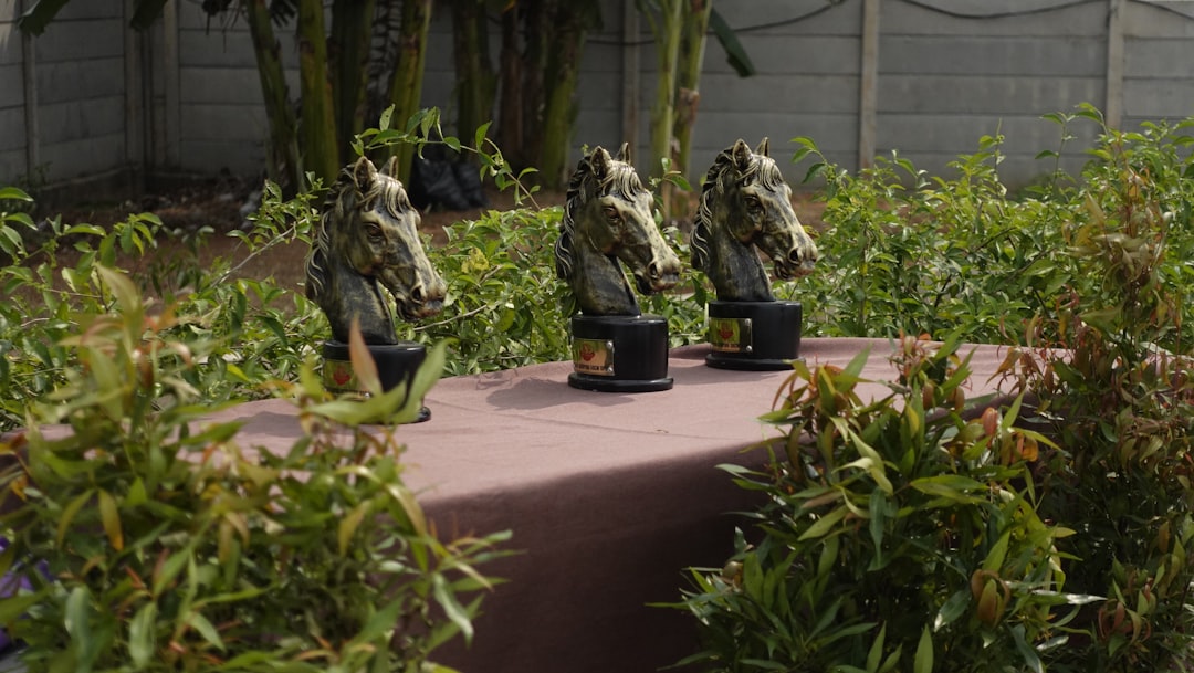 הסיוע נגמר, הצבא בכוננות: טראמפ מאיים בפלישה לניגריה - "נחסל את הטרוריסטים"